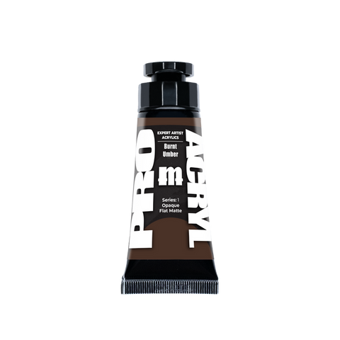 Expert Acrylics 007 - Burnt Umber