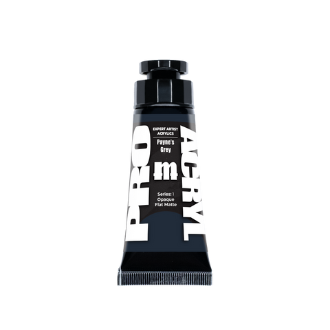 Expert Acrylics 013 - Payne's Grey